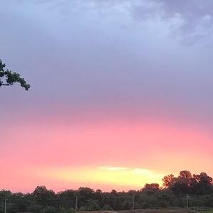 Meet your Posher, Shayna